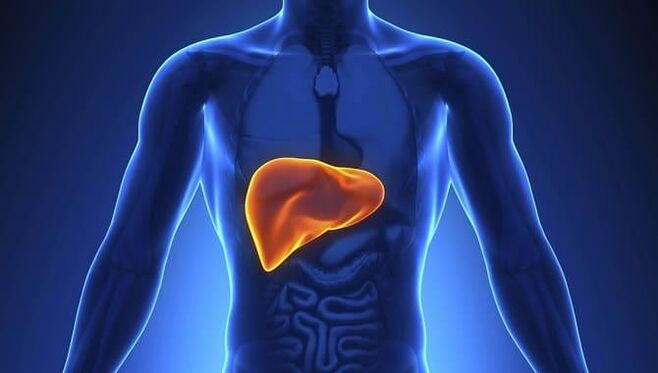 systemic antifungals create a greater burden on the liver